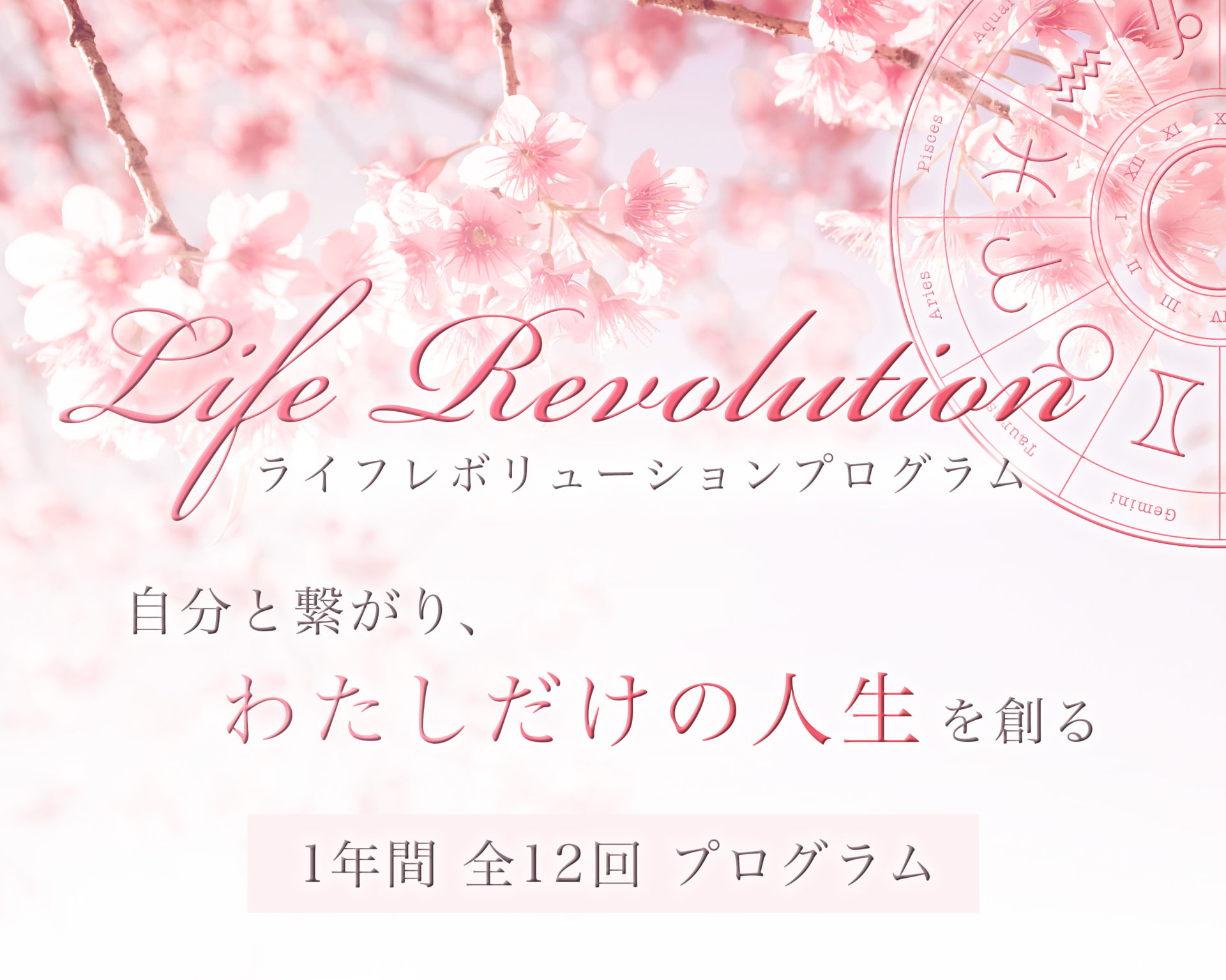 life revolution program